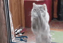 Why… Don’t… You… Let… Me… In? GIF - Cats Cat Funny GIFs