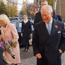 Quita The Kitty Attacks Prince Charles Cats GIF - Quita The Kitty Attacks Prince Charles Quita The Kitty Cats GIFs