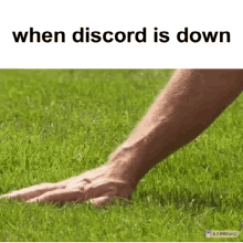 When Discord GIF - When Discord Down GIFs
