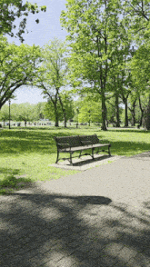 a park with trees and a bench in the middle of it
