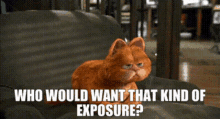 garfield who would want that kind of exposure exposure attention garfield the movie