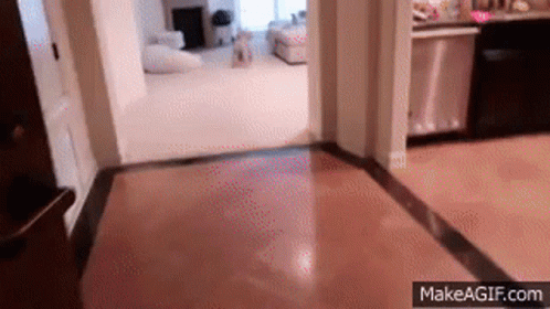 Laxatives Prank On Boyfriend Funny As Hell GIF - Laxatives Prank On Boyfriend Funny As Hell - Discover & Share GIFs Laxatives Prank On Boyfriend Funny As Hell GIF - Laxatives Prank On Boyfriend Funny As Hell - Discover & Share GIFs