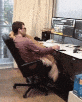 a man sits in a chair with a dog on his lap while using a computer