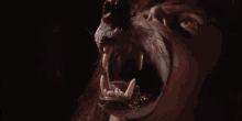 werewolf transformation roar growl