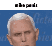 Mike Pence Fly GIF - Mike Pence Fly Mike President GIFs
