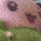 a close up of a dog 's face with a green blanket in the background