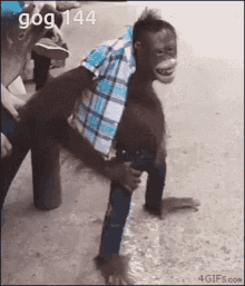 Gog Monkey GIF - Gog Monkey Funny GIFs