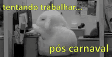 Cansado Carnaval Coelho Tentandotrabalhar Aftercarnival GIF - Tired Carnival Rabbit GIFs