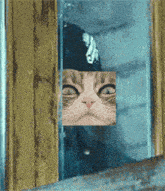 a cat 's face is visible through a doorway with the letter s on it