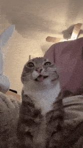 a cat is sitting on a bed with its tongue out and looking up at the camera .