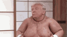 Mc Fatboy Trump Sexy GIF - Mc Fatboy Trump Sexy Dance GIFs