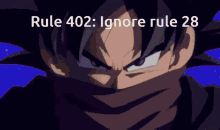 Rule402 Ignore Rule28 GIF - Rule402 Ignore Rule28 GIFs