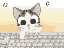 cat anime typing
