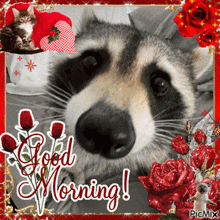 Raccoon Good Morning GIF - Raccoon Good Morning Blingee GIFs