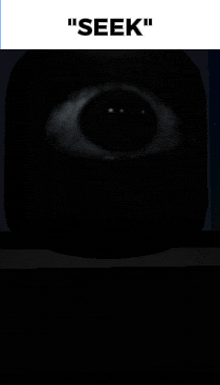 a poster with a black eye and the words " seek "