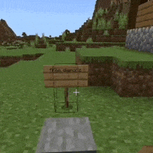 a wooden sign that says free dianoriz in a video game