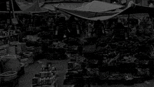 a black and white photo of a crowd with a banner that says ' democracy '