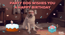 Happy Birthday Party Dog GIF - Happy Birthday Party Dog Cool GIFs