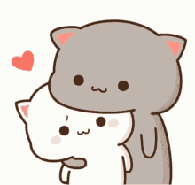Hugging Cat GIF - Hugging Cat Couples GIFs