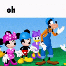 mickey mouse minnie mouse goofy and daisy duck are standing in a grassy field
