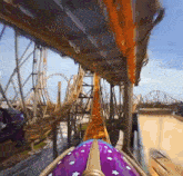 a roller coaster ride with a purple and gold costume
