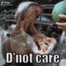 Dont Care Cry About It GIF - Dont Care Cry About It Hippo GIFs