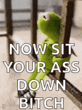 kermit the frog is leaning against a railing with the words `` now sit your ass down bitch '' .