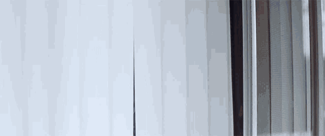 Looking Out The Window Open Blinds GIF - Looking Out The Window Open Blinds  Watching - Discover & Share GIFs