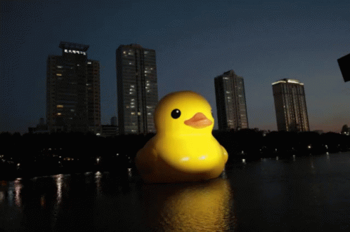 러버덕 오리 꽥꽥 석촌호수 GIF - Duck Rubber Duck Quack GIFs