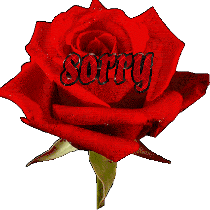 Sorry Im Sorry Sticker - Sorry Im Sorry Sorry Flower Stickers