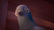 Bird Confused GIF - Bird Confused Shocked GIFs