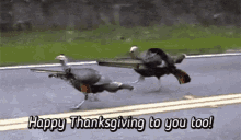No Oh Hell GIF - No Oh Hell Turkey GIFs