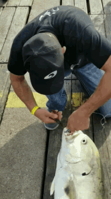 Fish Fishing GIF - Fish Fishing Dentist GIFs