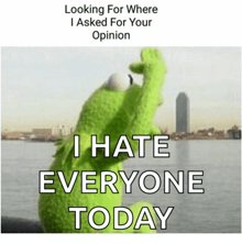 kermit the frog says i hate everyone today in front of a body of water