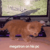 Megatron Orange GIF