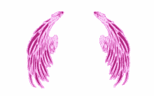 Wing Flying GIF - Wing Flying Pink GIFs