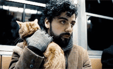 Oscar Isaac Petting Cat GIF - Oscar Isaac Petting Cat Its Okay GIFs