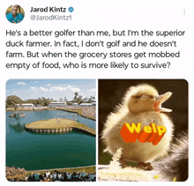 Food Duck Farming GIF - Food Duck Farming Jarod Kintz GIFs