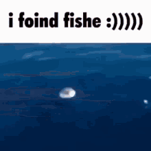 I Foind Fishe Meme GIF - I Foind Fishe Meme GIFs