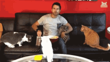 Eating Popcorn Feeding Cats GIF - Eating Popcorn Feeding Cats Intensely Watching GIFs