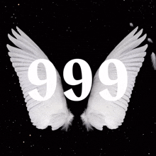 a black background with white wings and the number 999