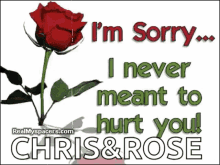 Sorry Rose GIF - Sorry Rose Never Meant Hurt You GIFs