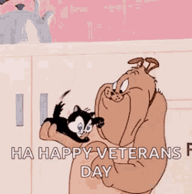 Happy Veterans Day Dog Hugging Cat GIF Happy Veterans Day Dog Hugging