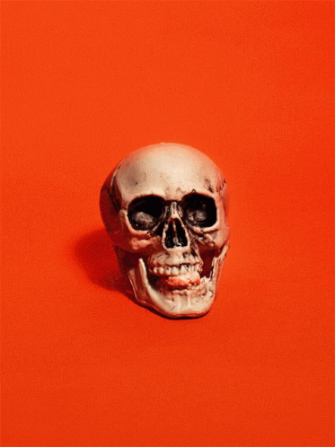 Skull Pop GIF - Skull Pop Gum GIFs