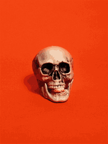 Skull Pop GIF - Skull Pop Gum GIFs