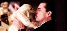 Puppy Kisses The Office GIF - Puppy Kisses The Office GIFs