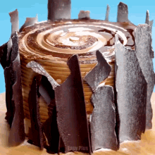 a cake that looks like a tree stump with easy plus written below it