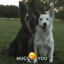 Iloveyou Dog GIF - Iloveyou Dog Hugs GIFs