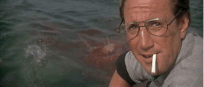 Jaws (1975) GIF - Jaws Shark Roy Scheider - Discover & Share ...
