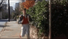 When Harry Met Lloyd Dumb And Dumber GIF - When Harry Met Lloyd Dumb And Dumber Dumb And Dumberer GIFs